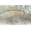 Abstract Area Rug in Grey/Gold