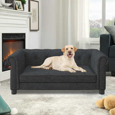  40" Elevated Dog Sofa Bed for Small & Medium Dogs, Modern Pet Couch with Padded Foam Cushion, Dark grey