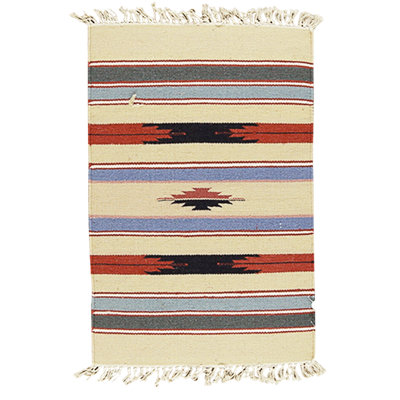 Hand Knotted Cotton Area Rug in Multi
