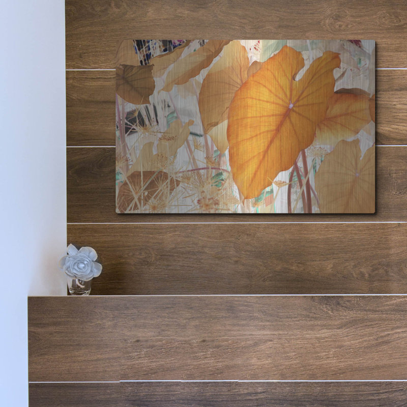 «Elephant Ears» par Judy Stalus, H 12 po x l 16 po