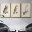 «French Owls IV», reproduction sur toile 3 pièces-91887711-91887712