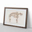 Mammoth Skeleton by Charles d Orbigny - Framed Print-55576645-55576642