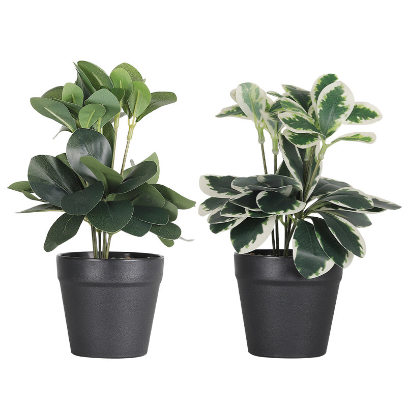 Artificial Green Plant Set
