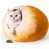 Orange est en rupture de stock