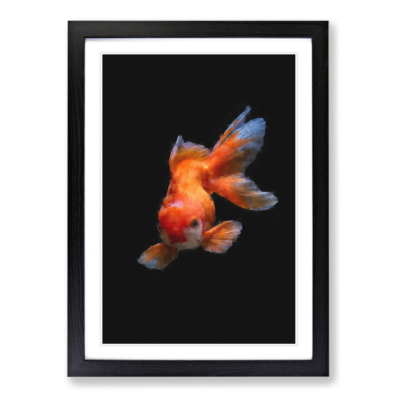 Chinese Golden Fish - Picture Frame Graphic Art, Black Framed, 48cm H x 36cm W x 2cm D