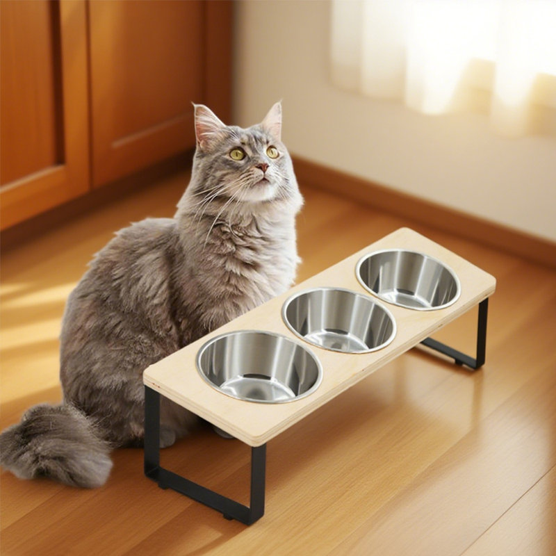 3 bols en acier inoxydable pour animaux