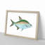 Bream Fish by Edward Donovan - Picture Frame Painting Print-55513204-55513203