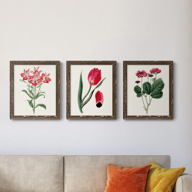 Roseat Blooms I - ensemble de 3 peintures sur toile encadrées, Noyer, H 24 po x l 36 po x P 1,5 po