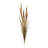 Foxtail Grass Bush
