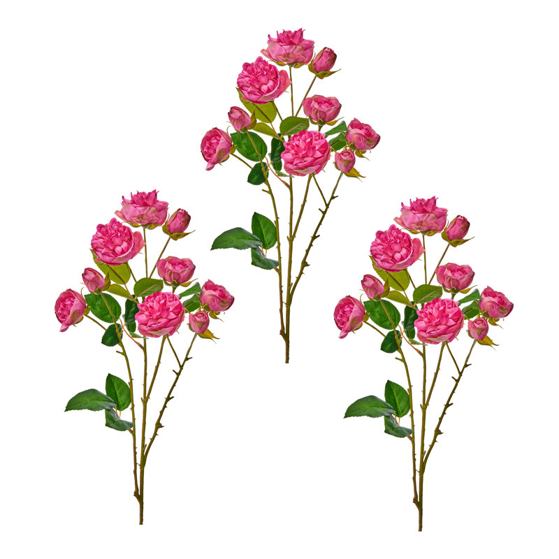 Tige de rose 25 po Ramblin , Rose
