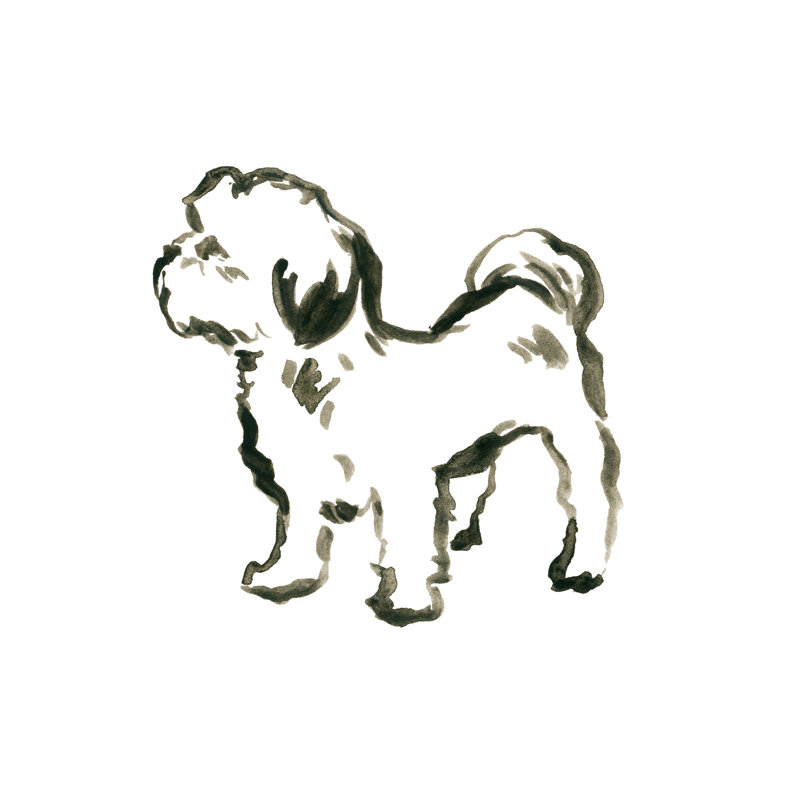 Camée Canine I, H 12 po x l 12 po x P 1,25 po
