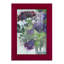 «Florus Garden Wild Things I», impression encadrée sur papier-2081941217-2081941221