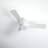 Peppadew 44'' Ceiling Fan with LED Lights-58697473