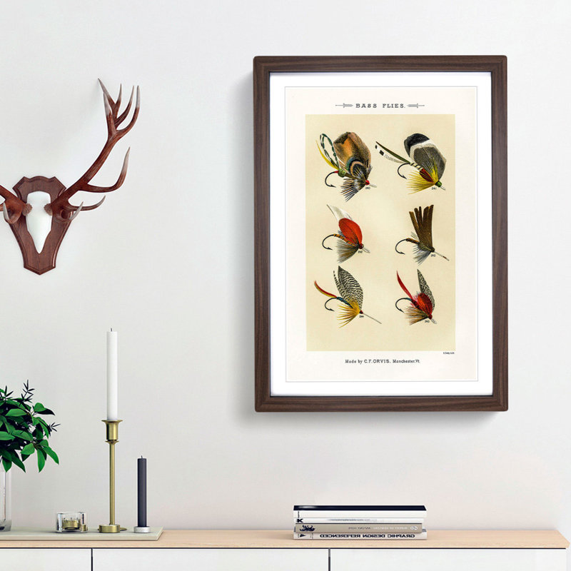 Bass Fishing Flies Versions 8 by Mary Orvis Marbury - Picture Frame Painting Print, 87cm H x 62cm W x 2cm D, Walnut Framed