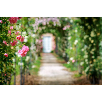 Beautiful Roses On Arches In The Ornamental Garden With Footpath by Image_Jungle - Wrapped Canvas Print