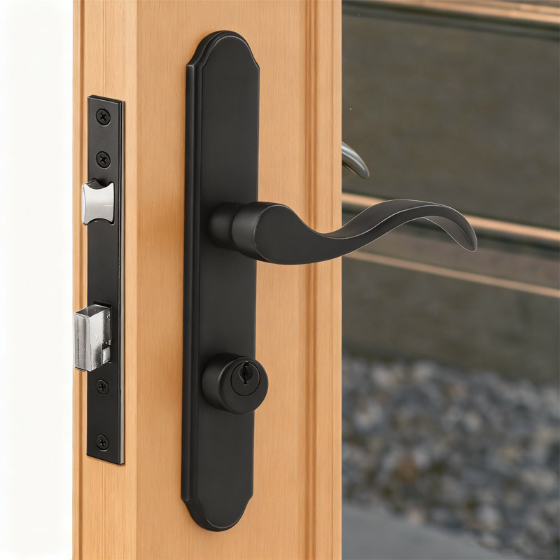 Ensemble de poignées de porte de tempête à fente plate 2,5 po PZ, 7/8 po de remplacement pour porte moustiquaire, plaque de finition 7-1 / 4 po, noir mat sans poignée