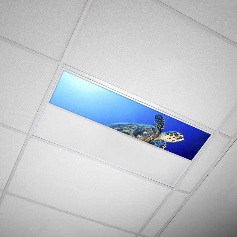 Couvre-lumière décoratif flexible océan
