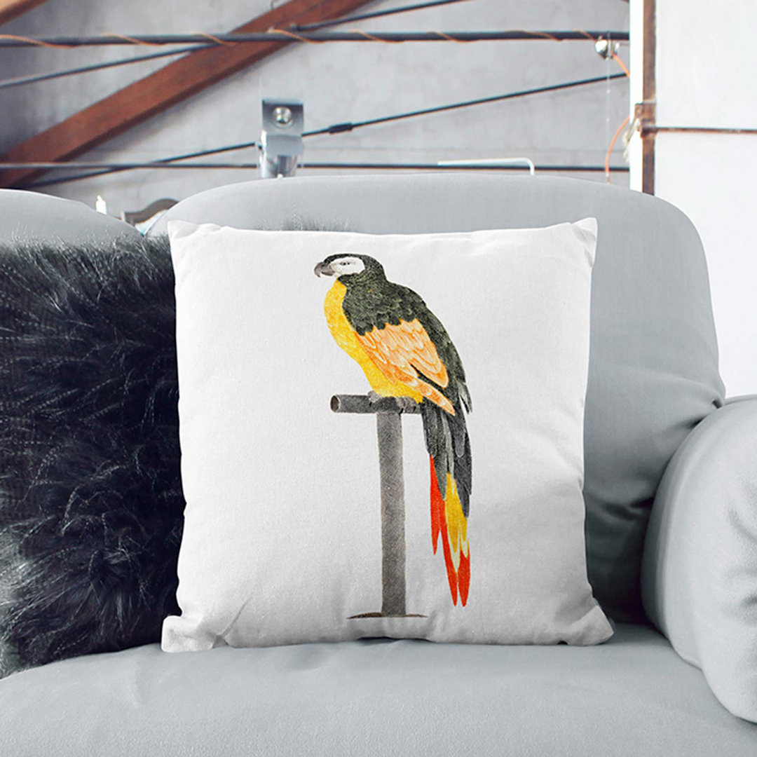 A Perched Parrot by Johan Teyler Cushion with Filling