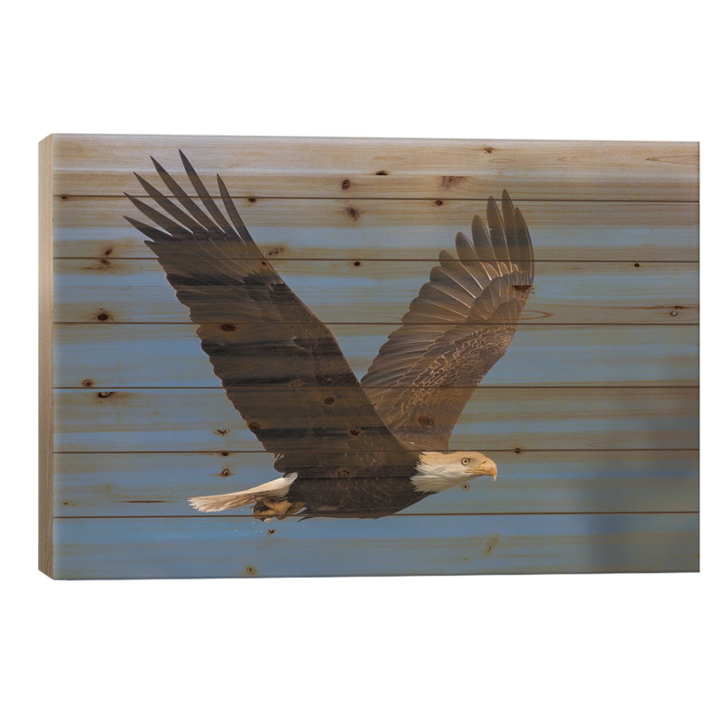 " Bald Eagle I " by Ken Archer, 26" H x 40" W x 1.5" D