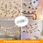 Briehn 1270cm LED Battery Powered 50 - Bulb Fairy String Light