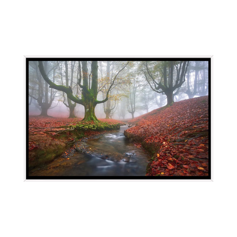 Misty Morning In Otzarreta by Jesús M. García - Print on Canvas, 66.04 cm H x 45.72 cm W, White