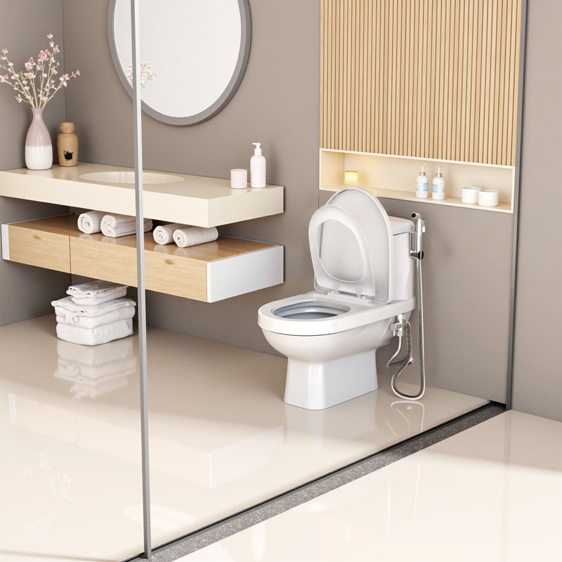 Wall Mounted Handheld Bidet Toilet Faucet Sprayer, Brushed Nickel