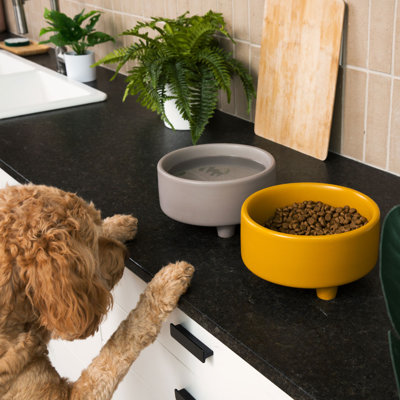 Uplift Ceramic Dog Bowl