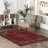Yasher Cotton and Chenille Oriental Indoor / Outdoor Rug-1406797989