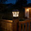 Luminaire d'extérieur 17 po H