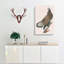 White Headed Eagle by John Audubon - Wrapped Canvas-55305261