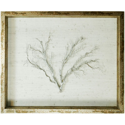 Sealife - Shadow Box Graphic Art