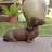 Dachshund Brown (Hi-Line Exclusive)-120613005