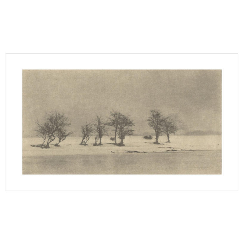 «Gnarled-Thorn Trees» par Peter Henry Emerson - impression giclée encadrée, H 25,38 po x l 41,5 po