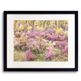 Swan Valley Autumn Portrait #8 Print by Bruce Heinemann