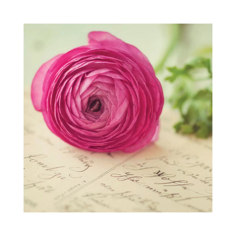 Flora III by Mandy Lynne - Wrapped Canvas Print, 30.48 cm H x 30.48 cm W