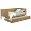 Stewart Natural Twin Daybed with Trundle, Versatile and Space-Saving Design for Modern and Rustic Interiors