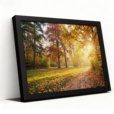Sentier de forêt ensoleillé d'automne avec des feuilles oranges - Tableau sur toile