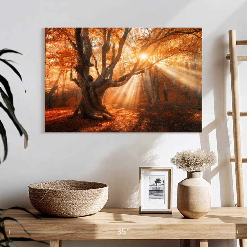 Lumière du soleil d'automne Alvord, H 16 po x l 24 po