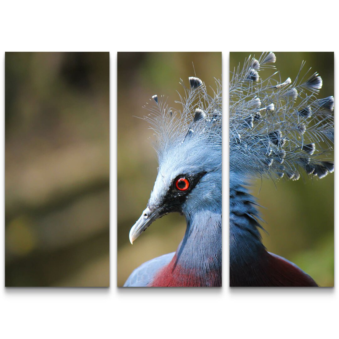 3-tlg. Leinwandbilder-Set Blauer Pfau