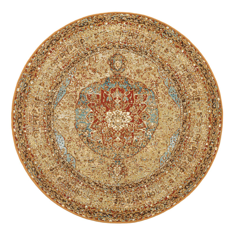 Indoor/Outdoor Traditional Area Rug, Round 4'1"