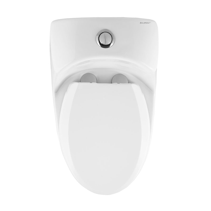 Château One-Piece Elongated Dual-Flush Toilet 1.1/1.6 gpf, Cotton White