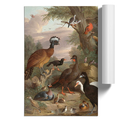 Collection of Birds by Melchior dHondecoeter - Frameless Print