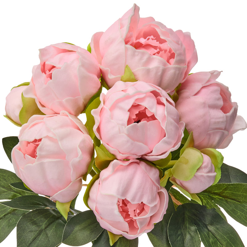 11" Pu Peony Bundle, Pink Pu Peony Bundle