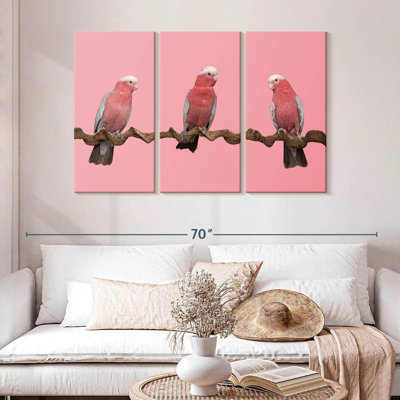 Trois oiseaux