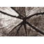Guisborough Abstract Area Rug-1288911901