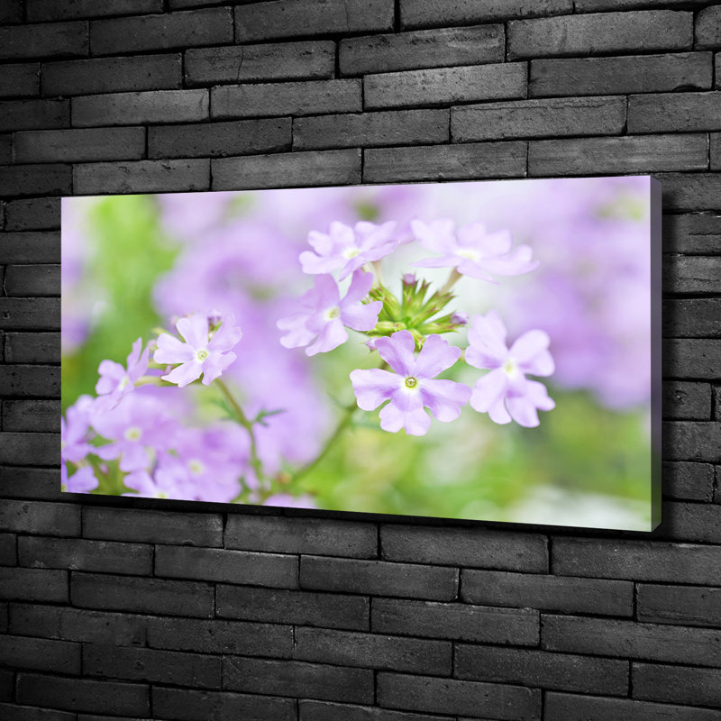 Verbena - Wrapped Canvas Print