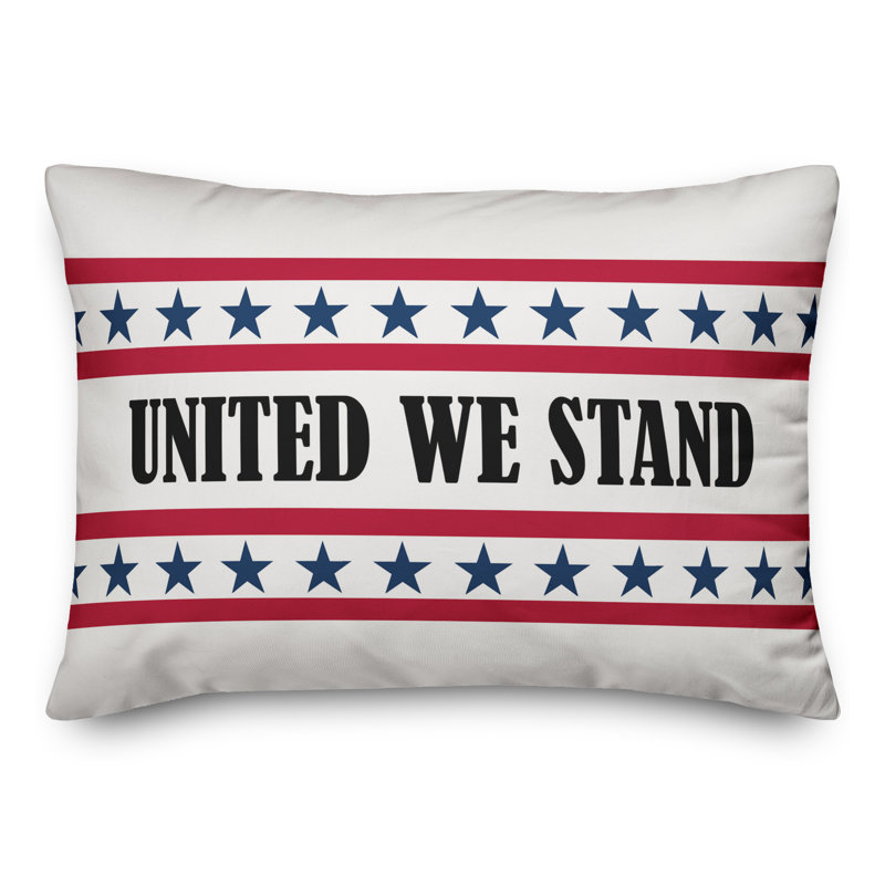  Polyester/Polyester Blend Lumbar Rectangular Indoor Pillow Cover & Insert, 14" x 20"