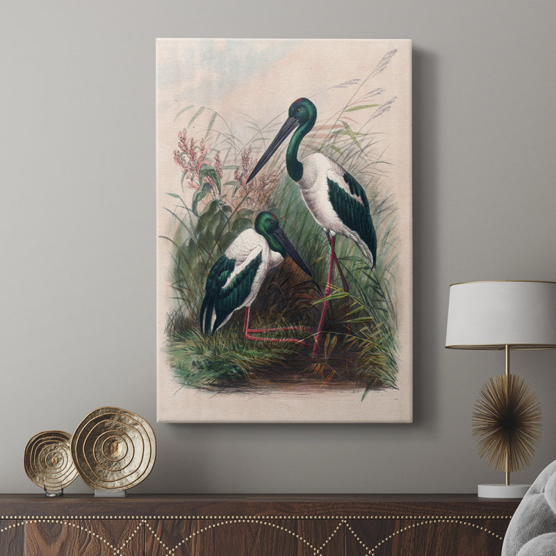 Reproduction animalière rétro XXX III - galerie Cavas sur mesure, H 18 po x l 12 po