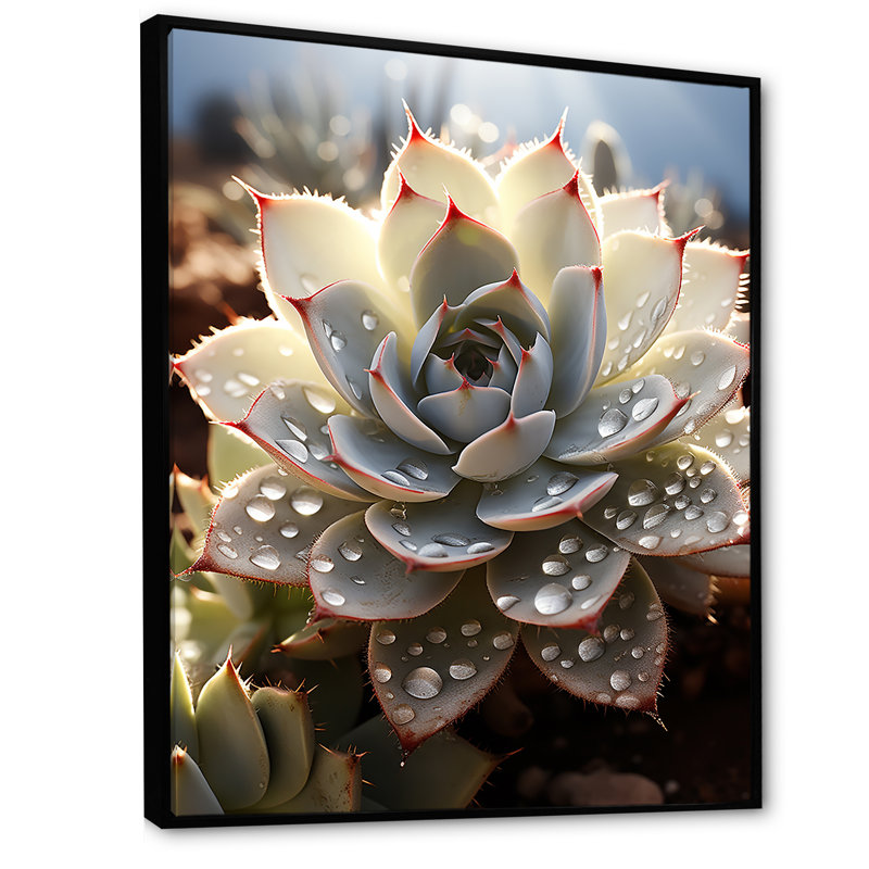 Cactus pêche - piqures de cactus, Cadre flottant noir, H 32 po x l 16 po x P 1 po