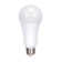 18 Watt White LED Bulb
